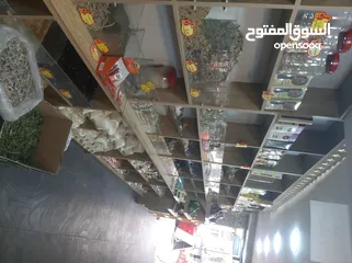  12 محمص للبيع بكامل عدته وبضاعته البيع بداعي السفر والعودة الى سوريا المحمص يعمل بشكل جيد وقابل للتطوير