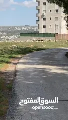  4 كيا سورينتو فل الفل 2020