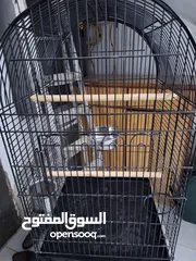  2 للبيع قفص كاسكو النوعية الثقيل كبير جدا