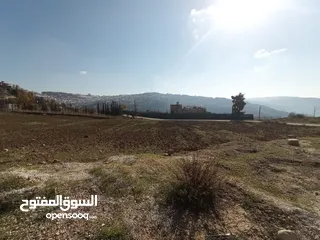  3 للبيع قطع اراضي في عيون الجاموس