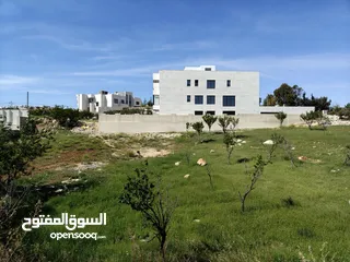  3 ارض مميزة للبيع بدر الجديدة مساحة 1633 متر تنظيم سكن خاص طابقين وروف