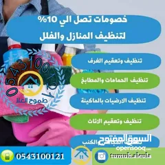  9 شركه تنظيف كنب وسجاد ومكافحه الحشرات والتعقيم