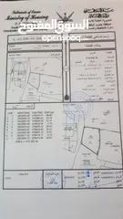  1 للبيع ارض زراعيه في ولاية بركاء المريغات ثاني خط من الشارع البحري فيها بئر مصرح مسوره بالكامل