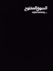 12 حساب بلوكس فروت للبيع  لفل 550  فواكه نادرة  فلوس 2,500,000  توزيع ممتاز  قابل للتفاوض