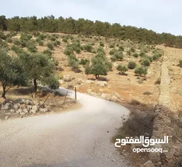  2 ارض ورثة للبيع بسعر مغري