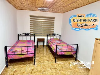  27 مزرعة قشطة للايجار في بلعما - مزرعة 5 STAR - مزرعة VIP - مزرعة للايجار - مزارع للايجار