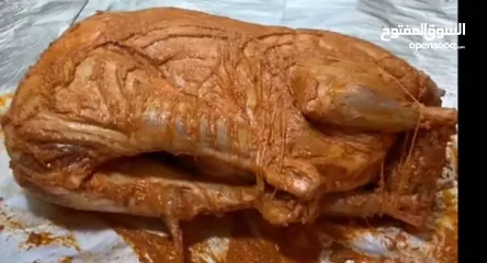  21 وجبات الزرب الاصلية مدخن ومستوي 100%