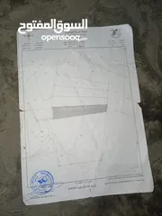  1 قطعه أرض 10 دونمات 150 زيتونه ودوالي وبئر ماء منضمه وسنسال كامل