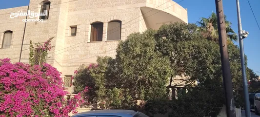  1 ؛شقه مستقله للاجار الزرقا الجديده شارع الفلاتر شارع البتراوي خلف مسجد عمر بن العاص