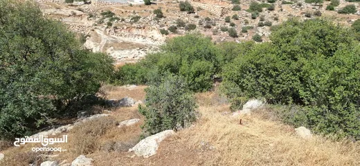  2 أرض طابو مطلة ومشجرة بسعر مغري