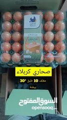  7 بيض عراقي طازج