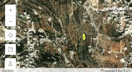  2 ارض للبيع منطقة ڤلل