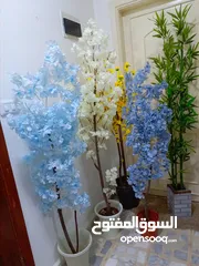  10 أشجار صناعي بجذع طبيعي شامل القوار