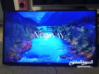  5 شاشة فيستل