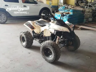  1 تركترون تايجر 48v للبيع 2500