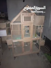  2 قنون طيور بحال الجديد للبيع