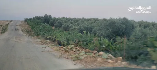  6 أرض للبيع في جنوب عمان خان الزبيب