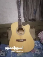  5 جيتار وكالة و عليه اوكلايز كهرباء