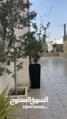  20 شقه في كومباوند السلام / حي السفارات/ الدوار الرابع