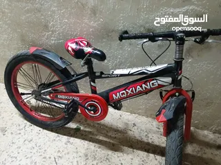  1 بسكليت جنت 24 اوروبي