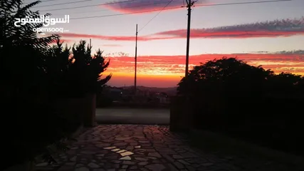  11 منزل شبه فيلا للبيع