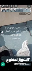  1 عازل طربال سعودي لمنع خرير المطر وتخفيض درجه الحراره أسطح حمامات السباحة