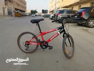  2 Sportex bike