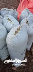  6 تبن أحمر بيقا البيع