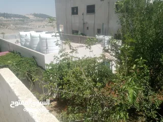  20 منزل مستقل جرش اسكان عجرمه  3غرف نوم 2حمام  صاله مع مطبخ امريكي  بلكونه  حديقه مساحه الارض 305