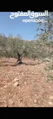  2 ارض للبيع في مزاع النوباني مساحه730متر