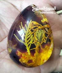  3 احجار طبيعي للمهتمين