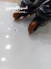  5 سكيت ياباني لحق حالك.