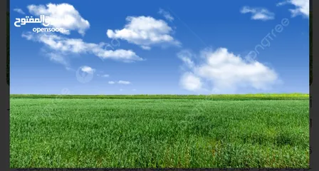  1 أرض تجارية ممتازة للبيع