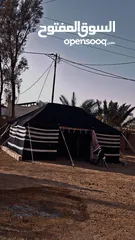 1 خيمة بيت شعر مبطنه