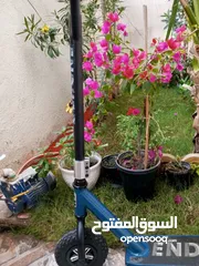  4 سكوتر نضيف جدا