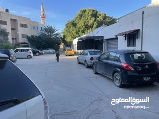  15 شقة للبيع في طرابلس