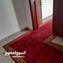  28 فني تركيب ارضيات باركيه-فني تركيب موكيت -تركيب بلاط موكيت -تركيب مسارح