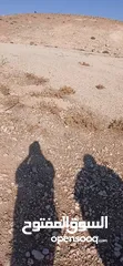  6 قطعه ارض للبيع
