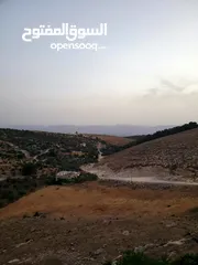  3 كفرابيل لواء الكوره