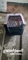  4 بيت قطط $$