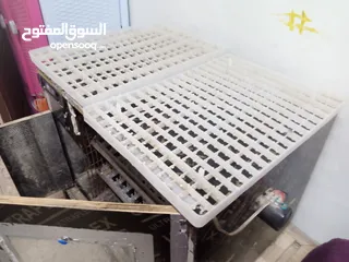  10 فقاسه بيض دجاج وفري