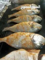  29 شيف طباخ شرقي وغربي وسلطات ابحث عن عمل خبره اكثر من 15سنه في فندق القدس وفندق جراند بلاس عمان