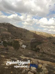  7 دورا جبل ابو عشرة