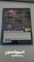  3 Pillars of Eternity Complete Edition: PS4 and PS5