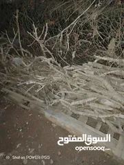  10 تشكيلة حطب للبيع