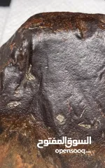  22 Jabal Kamel Hadidi meteorites, Tripoli, Libya, weight: one kilogram and 200 gram
