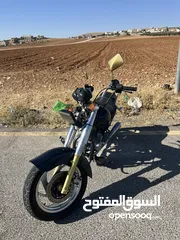  2 هارلي الجمل للبيع