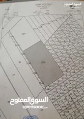  2 ارض مميزه للبيع 400 دنم