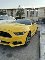  2 Mustang 2017 model  More details zero five double eight zero five double eight zero three