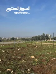  3 نمرتين ارض